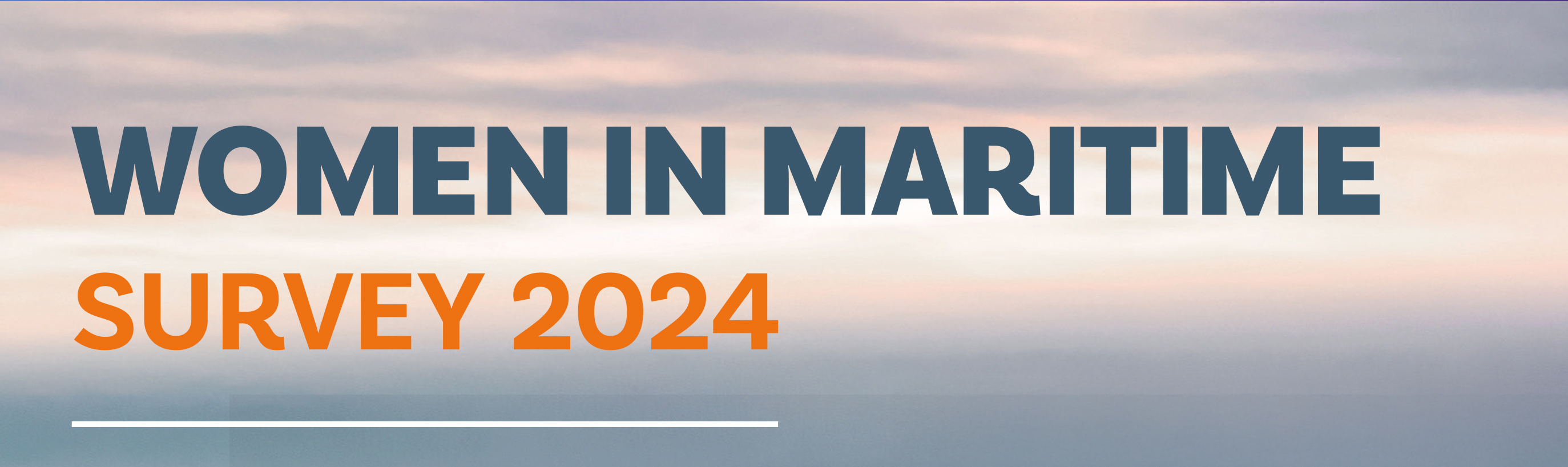 International Maritime Organization Women in Maritime Survey 2024