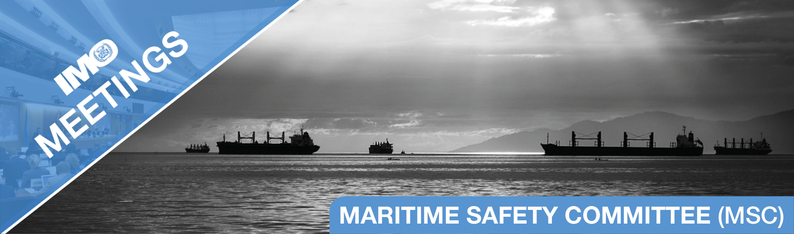 Maritime Safety Committee (MSC)